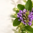 Latest Posts